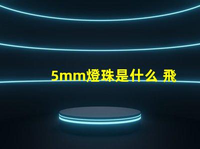 5mm燈珠是什么 飛利浦燈珠是什么品牌